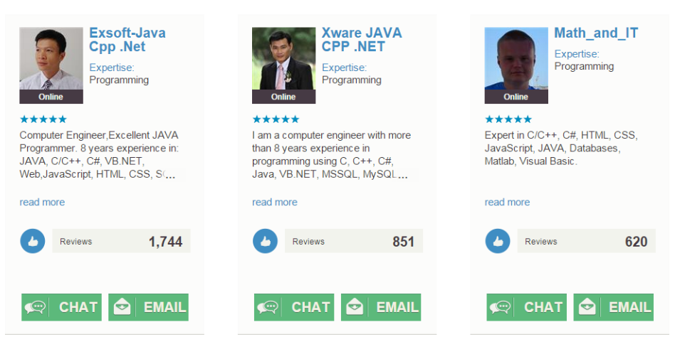 online Programming experts
