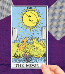 The Moon Card